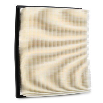 Air Filter RIDEX 8A0223 8A0223 - photo 4