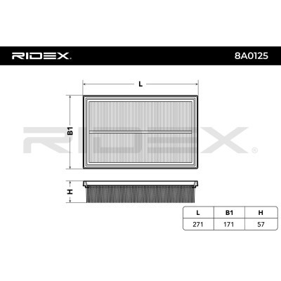 Air Filter RIDEX 8A0125 8A0125 - photo 3