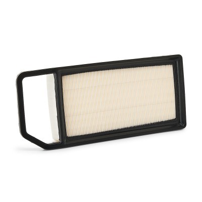 Air Filter RIDEX 8A0199 8A0199 - photo 4