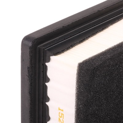 Air Filter RIDEX 8A0179 8A0179 - photo 6