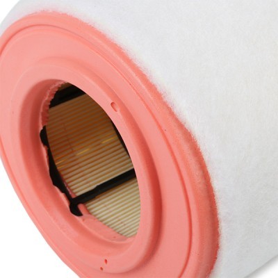 Air Filter RIDEX 8A0709 8A0709 - photo 5