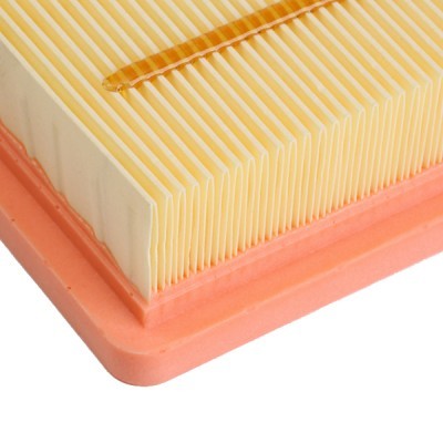 Air Filter RIDEX 8A0965 8A0965 - photo 3