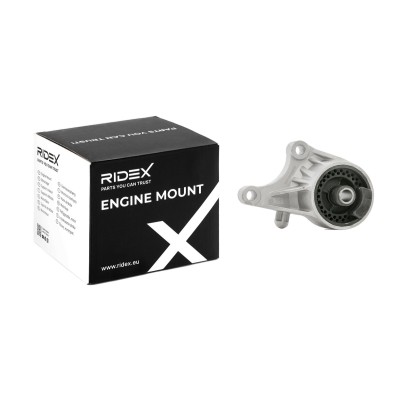 Engine Mounting RIDEX 247E0050 247E0050 - photo 5