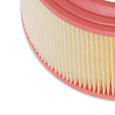 Air Filter RIDEX 8A0267 8A0267 - photo 5