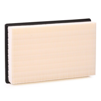 Air Filter RIDEX 8A0125 8A0125 - photo 5