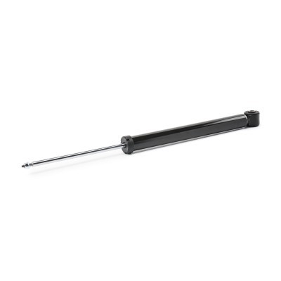 Shock Absorber RIDEX 854S2433 854S2433 - photo 4
