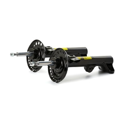 Shock Absorber RIDEX 854S19298P 854S19298P - photo 3