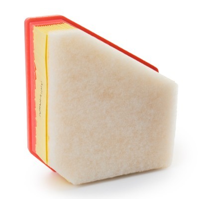 Air Filter RIDEX 8A1763 8A1763 - photo 3
