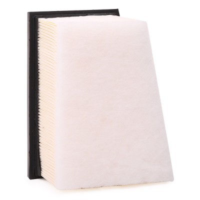 Air Filter RIDEX 8A0080 8A0080 - photo 5