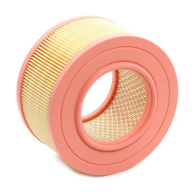 Air Filter RIDEX 8A0542 8A0542 - photo 4
