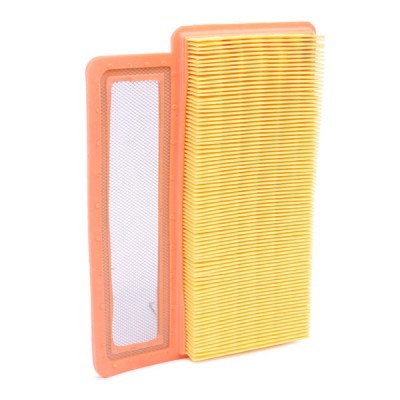 Air Filter RIDEX 8A0663 8A0663 - photo 4