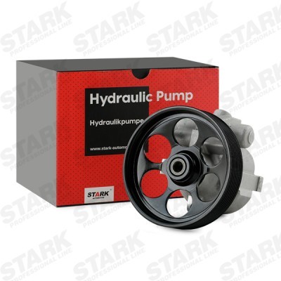 Hydraulic Pump, Steering System Stark SKHP-0540189 SKHP-0540189 - photo 2