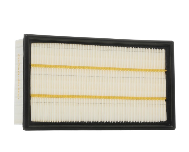 Air Filter RIDEX 8A0292 8A0292 - photo 1