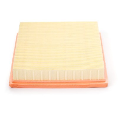 Air Filter RIDEX 8A0269P 8A0269P - photo 5