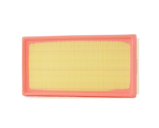 Air Filter RIDEX 8A0051 8A0051 - photo 1