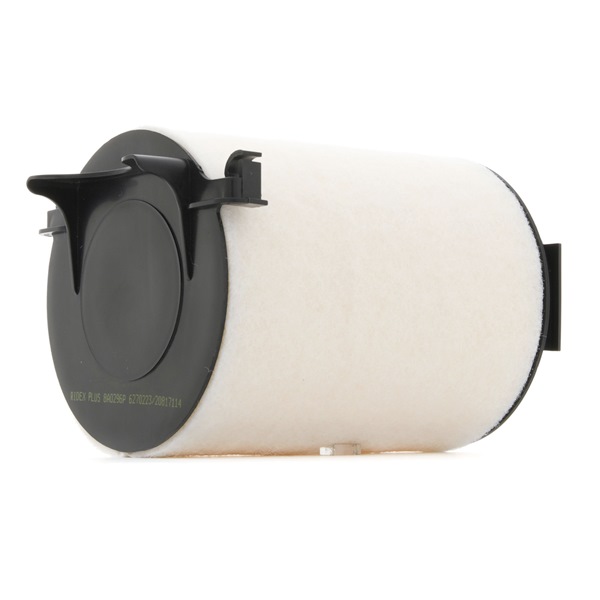 Air Filter RIDEX 8A0296P 8A0296P - photo 1