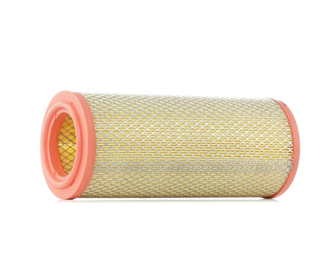 Air Filter RIDEX 8A0198 8A0198 - photo 1