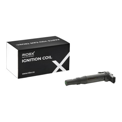 Ignition Coil RIDEX 689C0364 689C0364 - photo 8