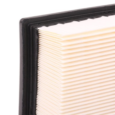 Air Filter RIDEX 8A0386 8A0386 - photo 5