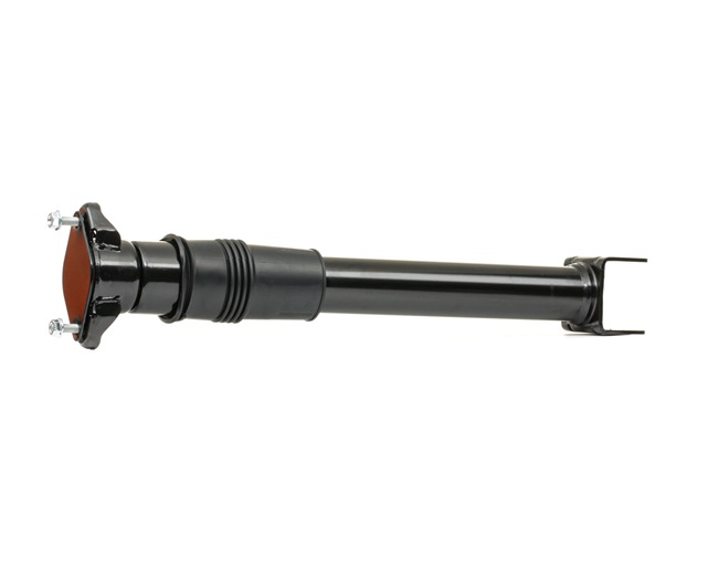 Shock Absorber RIDEX 854S17960 854S17960 - photo 1
