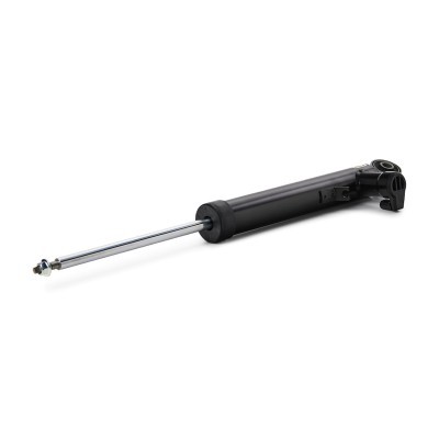Shock Absorber RIDEX 854S2665 854S2665 - photo 4
