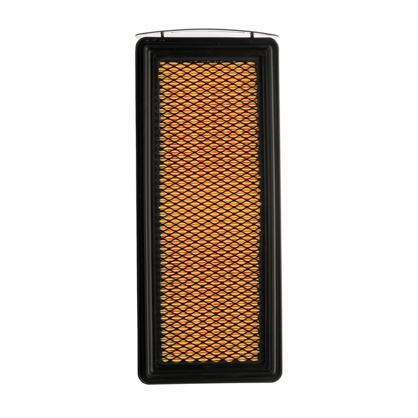 Air Filter RIDEX 8A0615P 8A0615P - photo 1