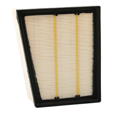 Air Filter RIDEX 8A0676 8A0676 - photo 3