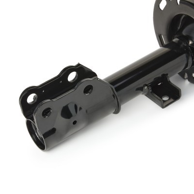 Shock Absorber RIDEX 854S2507 854S2507 - photo 5