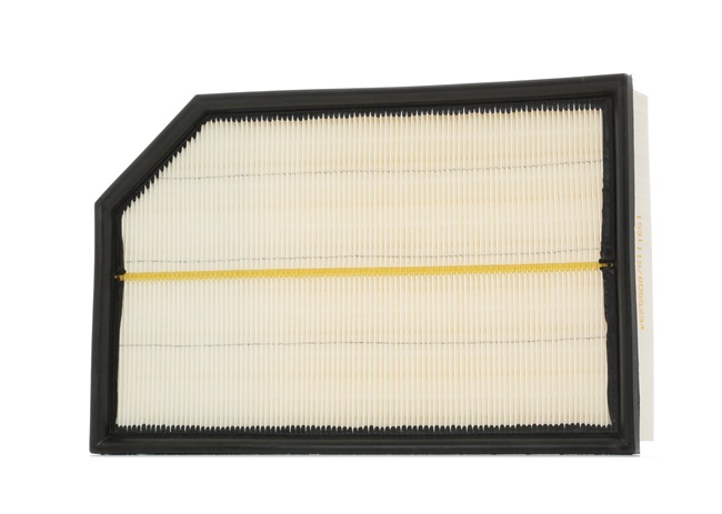 Air Filter RIDEX 8A0222 8A0222 - photo 1