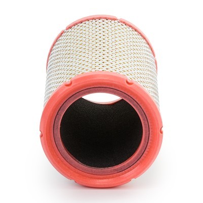 Air Filter RIDEX 8A0090P 8A0090P - photo 6