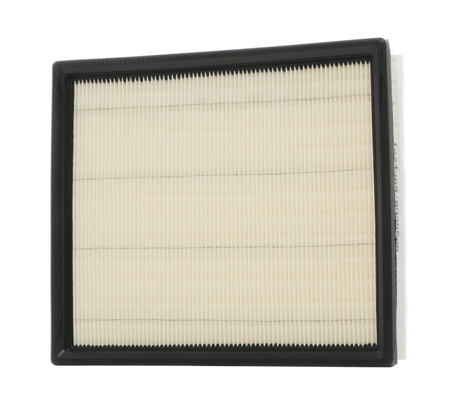 Air Filter RIDEX 8A0485 8A0485 - photo 1