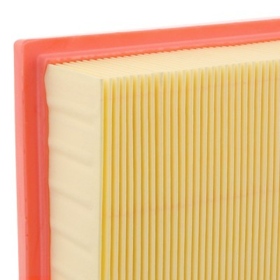 Air Filter RIDEX 8A0349 8A0349 - photo 4