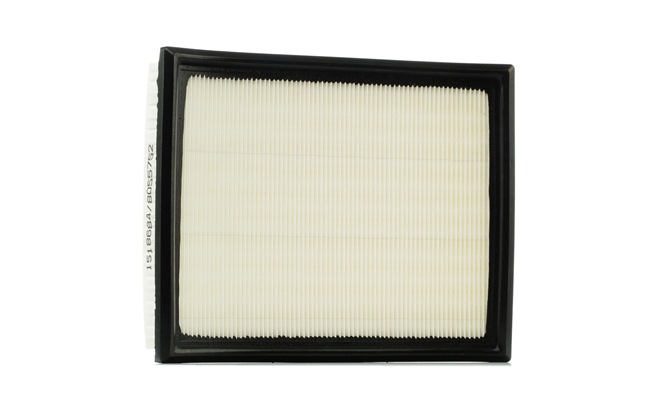 Air Filter RIDEX 8A0387 8A0387 - photo 1
