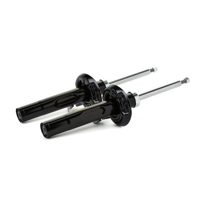 Shock Absorber RIDEX 854S1731P 854S1731P - photo 4