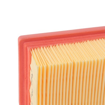 Air Filter RIDEX 8A0123 8A0123 - photo 5