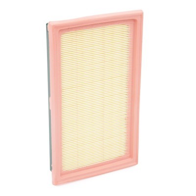 Air Filter RIDEX 8A0120 8A0120 - photo 4