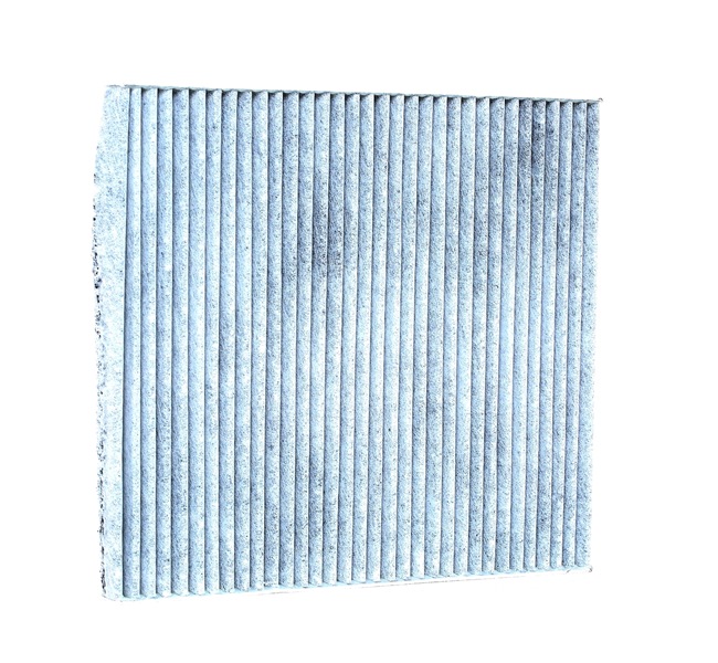 Cabin Air Filter RIDEX 424I0275 424I0275 - photo 1