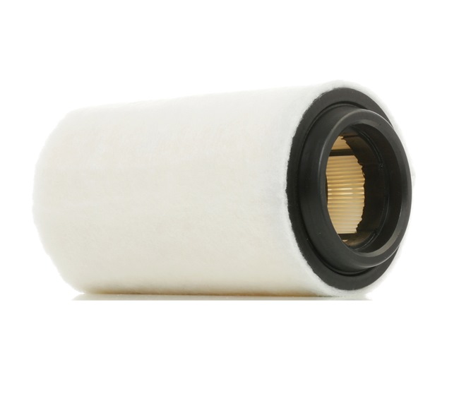 Air Filter RIDEX 8A0322 8A0322 - photo 1