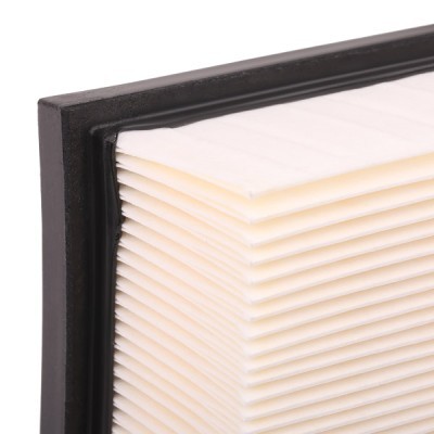 Air Filter RIDEX 8A0357 8A0357 - photo 6