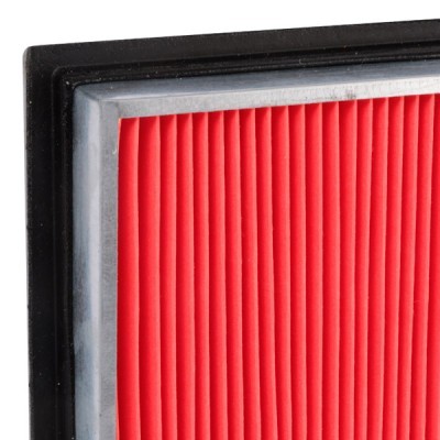 Air Filter RIDEX 8A0129 8A0129 - photo 5
