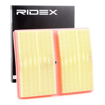 Air Filter RIDEX 8A0794 8A0794 - photo 2