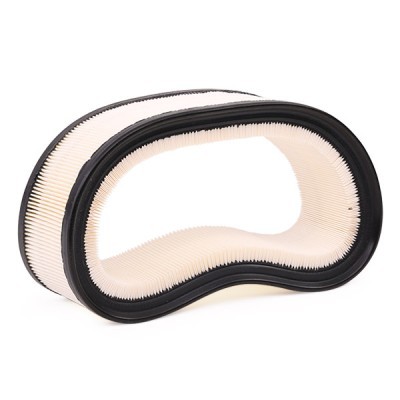 Air Filter RIDEX 8A0193 8A0193 - photo 5