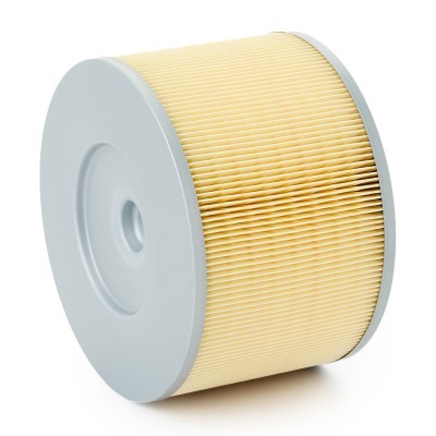 Air Filter RIDEX 8A0262 8A0262 - photo 4