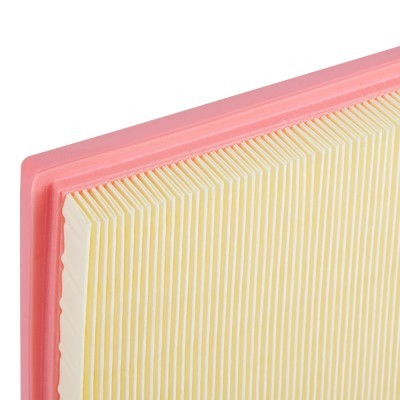 Air Filter RIDEX 8A0647 8A0647 - photo 5
