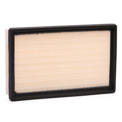 Air Filter RIDEX 8A0125 8A0125 - photo 4