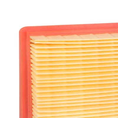 Air Filter RIDEX 8A0079 8A0079 - photo 6