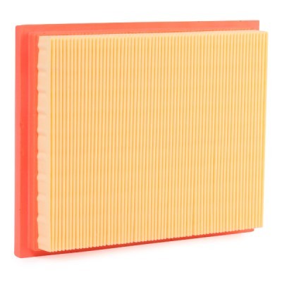 Air Filter RIDEX 8A0043 8A0043 - photo 4