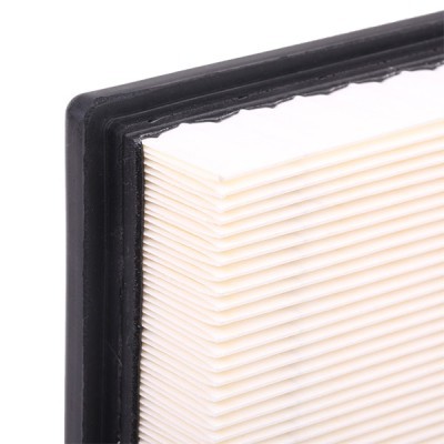 Air Filter RIDEX 8A0266 8A0266 - photo 6