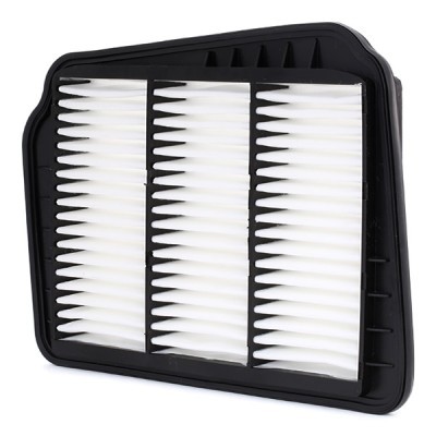 Air Filter RIDEX 8A0204 8A0204 - photo 3