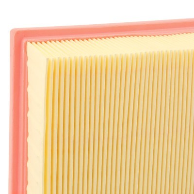 Air Filter RIDEX 8A0666 8A0666 - photo 4